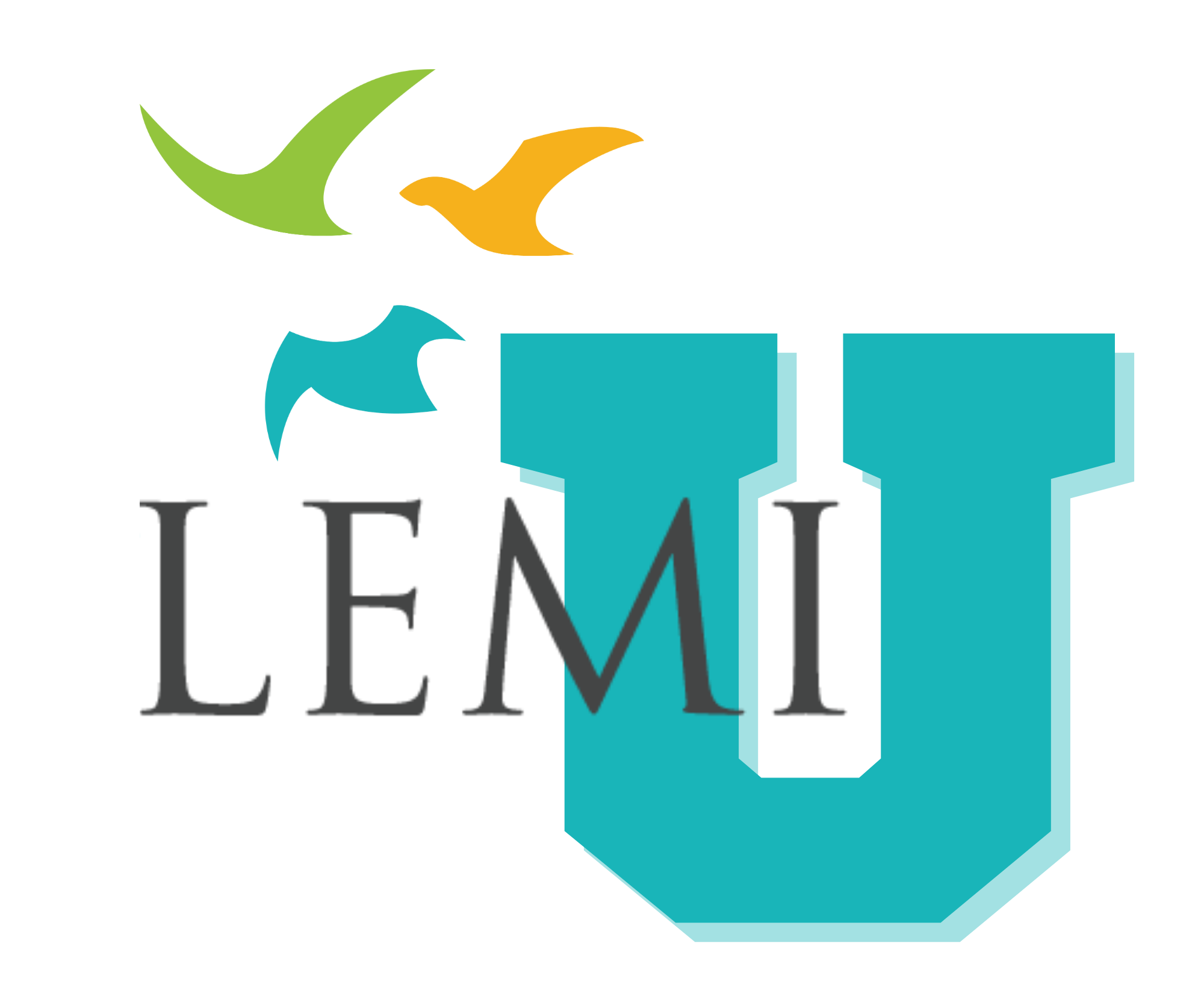 LEMI-U